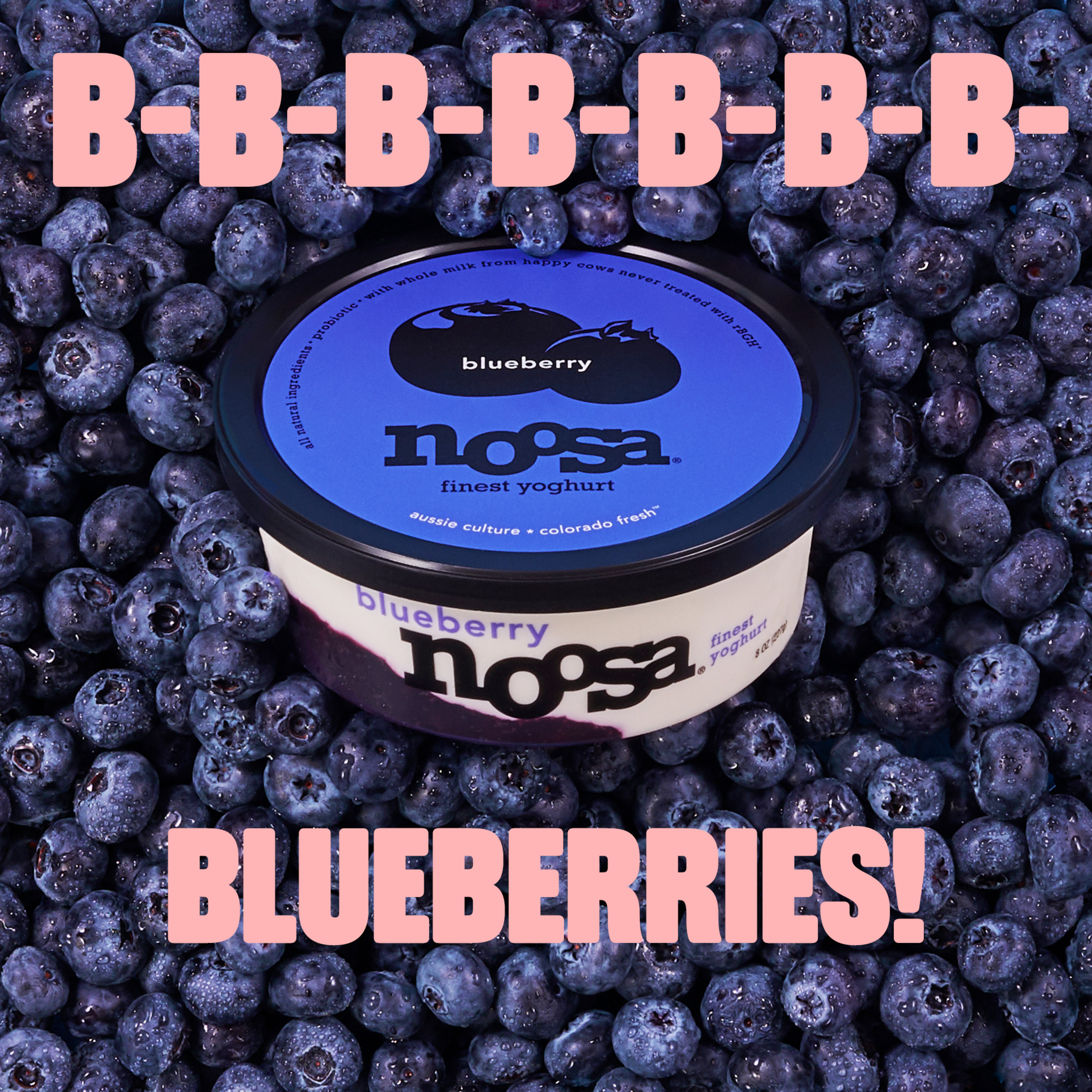 Noosa Yoghurt, Whole Milk Yogurt, Velvety Smooth & Creamy, Blueberry, 8 oz Tub thumbnail 2