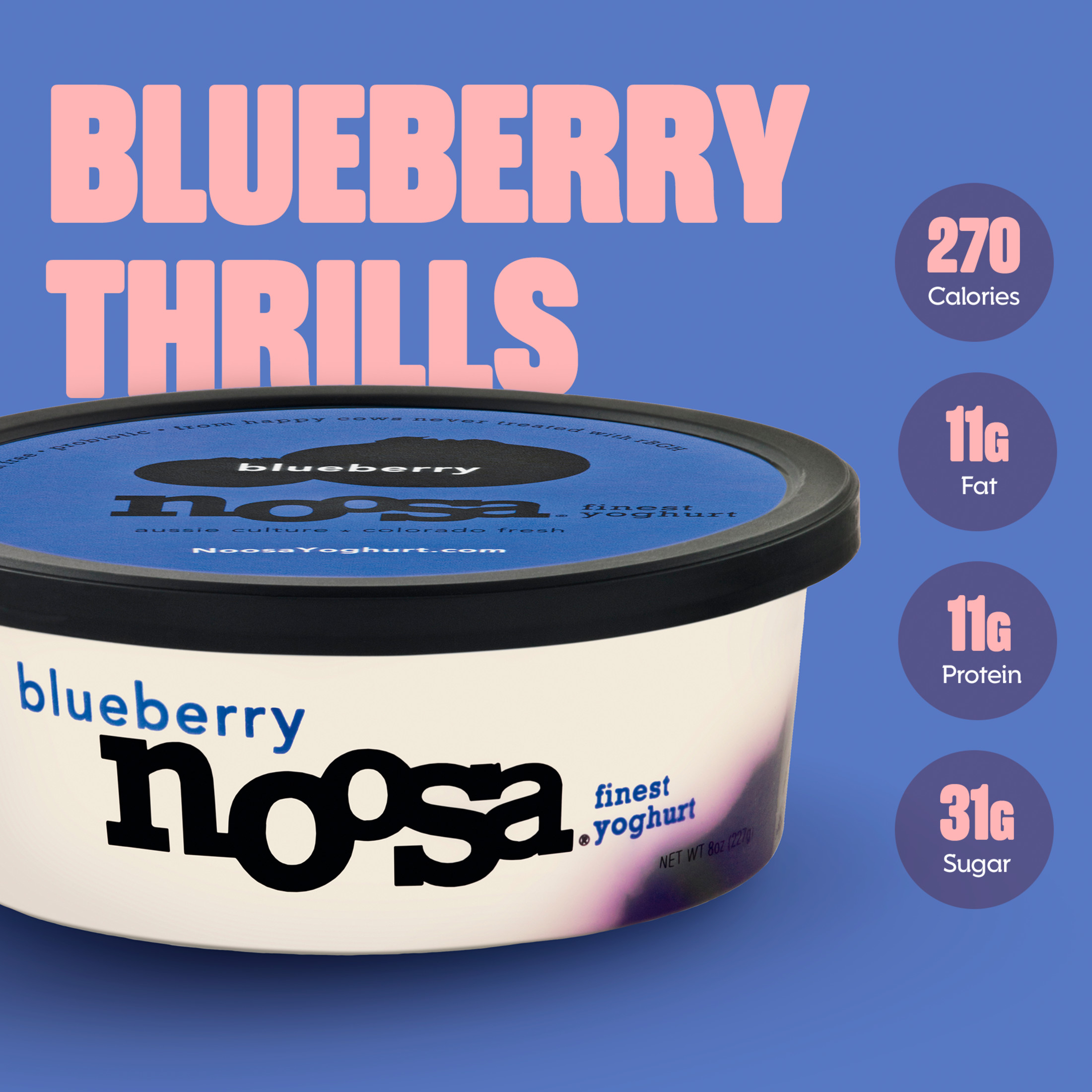 Noosa Yoghurt, Whole Milk Yogurt, Velvety Smooth & Creamy, Blueberry, 8 oz Tub thumbnail 3