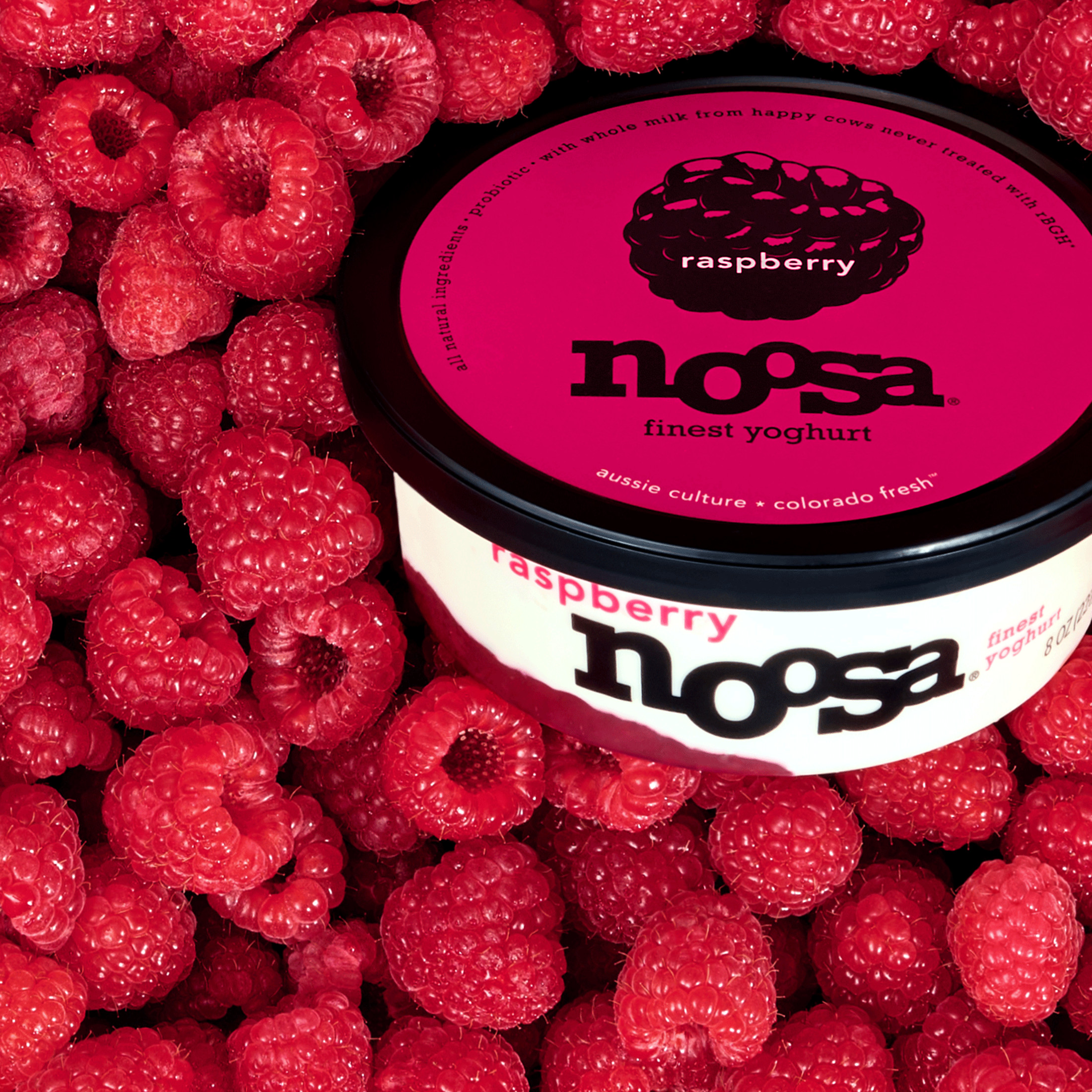 Noosa Yoghurt, Whole Milk Yogurt, Velvety Smooth & Creamy, Raspberry, 8 oz Tub thumbnail 2