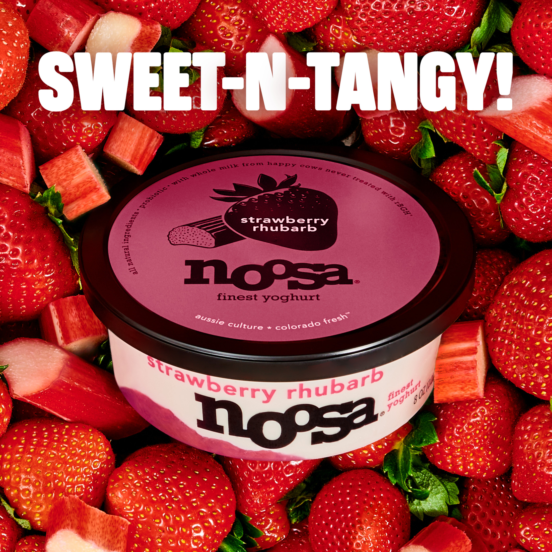 Noosa Yoghurt, Whole Milk Yogurt, Velvety Smooth & Creamy, Strawberry Rhubarb, 8 oz Tub thumbnail 2