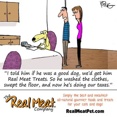 Real Meat AIr-Dried Jerky Treats, Free-Range, All-Natural (Beef, 12oz) thumbnail 3