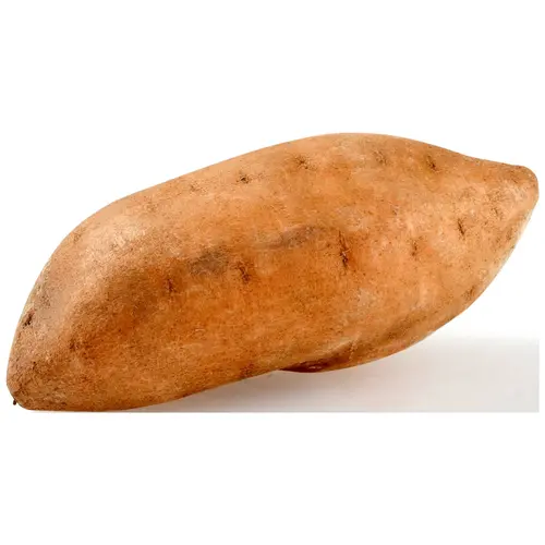 Microwaveable Sweet Potato Whole Fresh, Each thumbnail 3