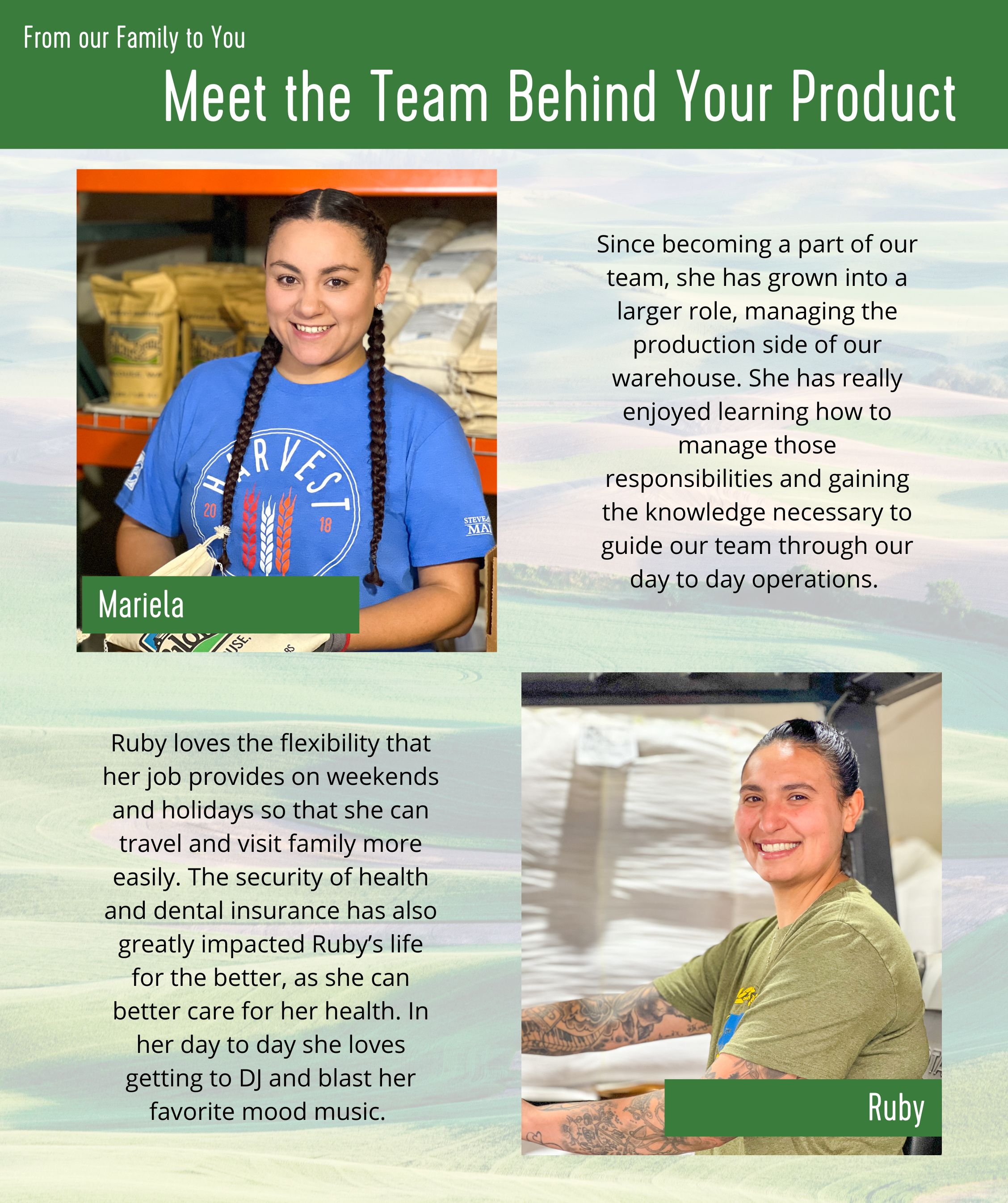 Green Lentils | Black Beluga Lentils | Golden Lentils | Non-GMO | 12 lbs Total | 100% Non Irradiated | Kosher | USA Grown | Vega thumbnail 4