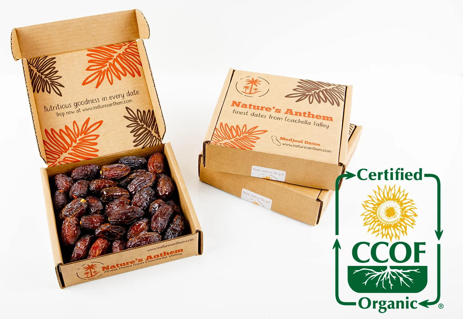 Organic Medjool Dates 2Lbs