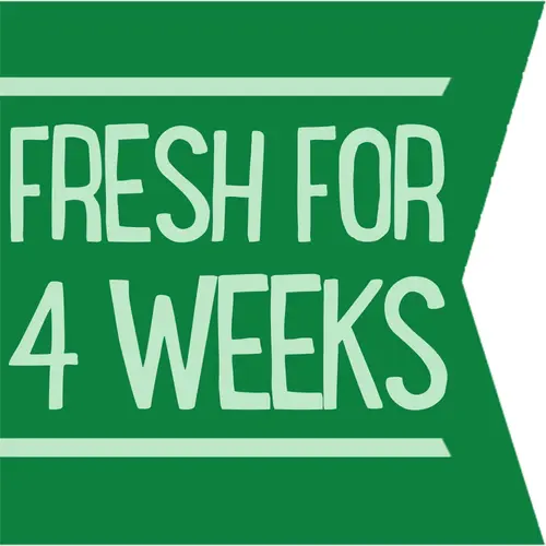 Gourmet Garden Lightly Dried Organic Parsley, 0.35 oz thumbnail 4