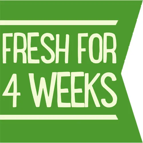 Gourmet Garden Gluten Free Lightly Dried Basil, 0.42 oz Cup thumbnail 3