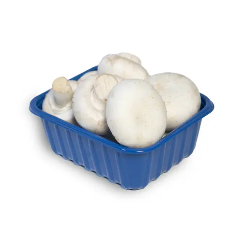 Fresh Whole White Mushrooms, 8 oz thumbnail 2