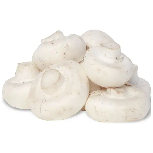 Fresh Whole White Mushrooms, 8 oz thumbnail 3
