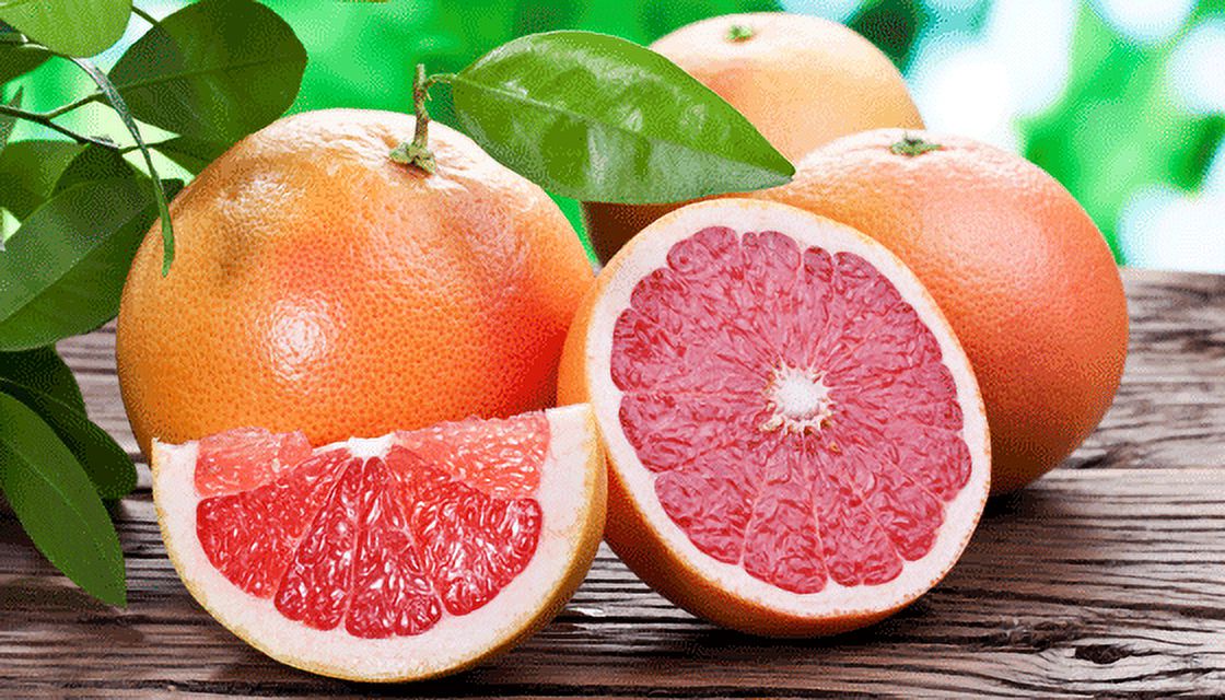 Fresh Organic Grapefruit, 4 lb Bag thumbnail 2