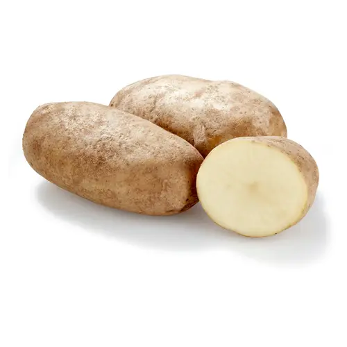 Jumbo Russet Potatoes Whole Fresh, 8 lb Bag thumbnail 3